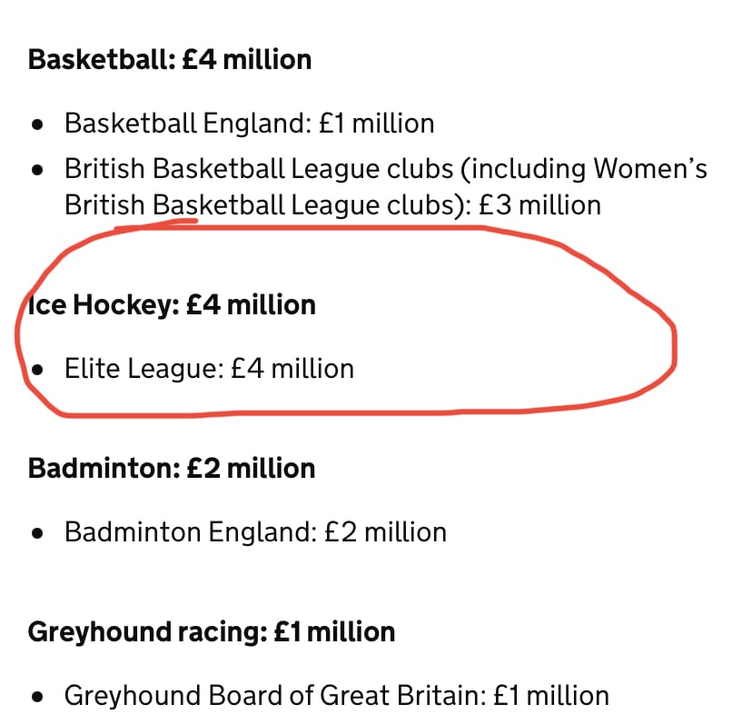 Dcms Funding, British Ice Hockey