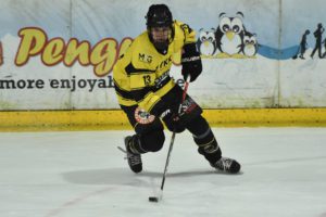 Skating for Widnes Wild (PHOTO: Widnes Wild)