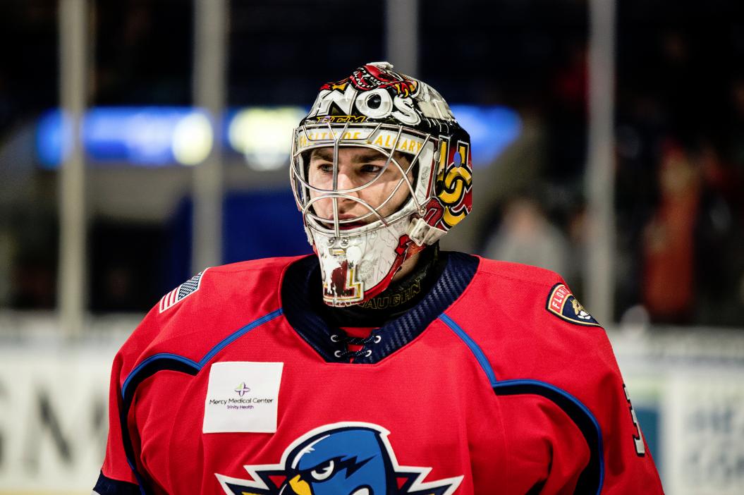 Matt Greenfield was on the books of the AHL's Springfield Thunderbirds in 2018-19 (Image: AHL)