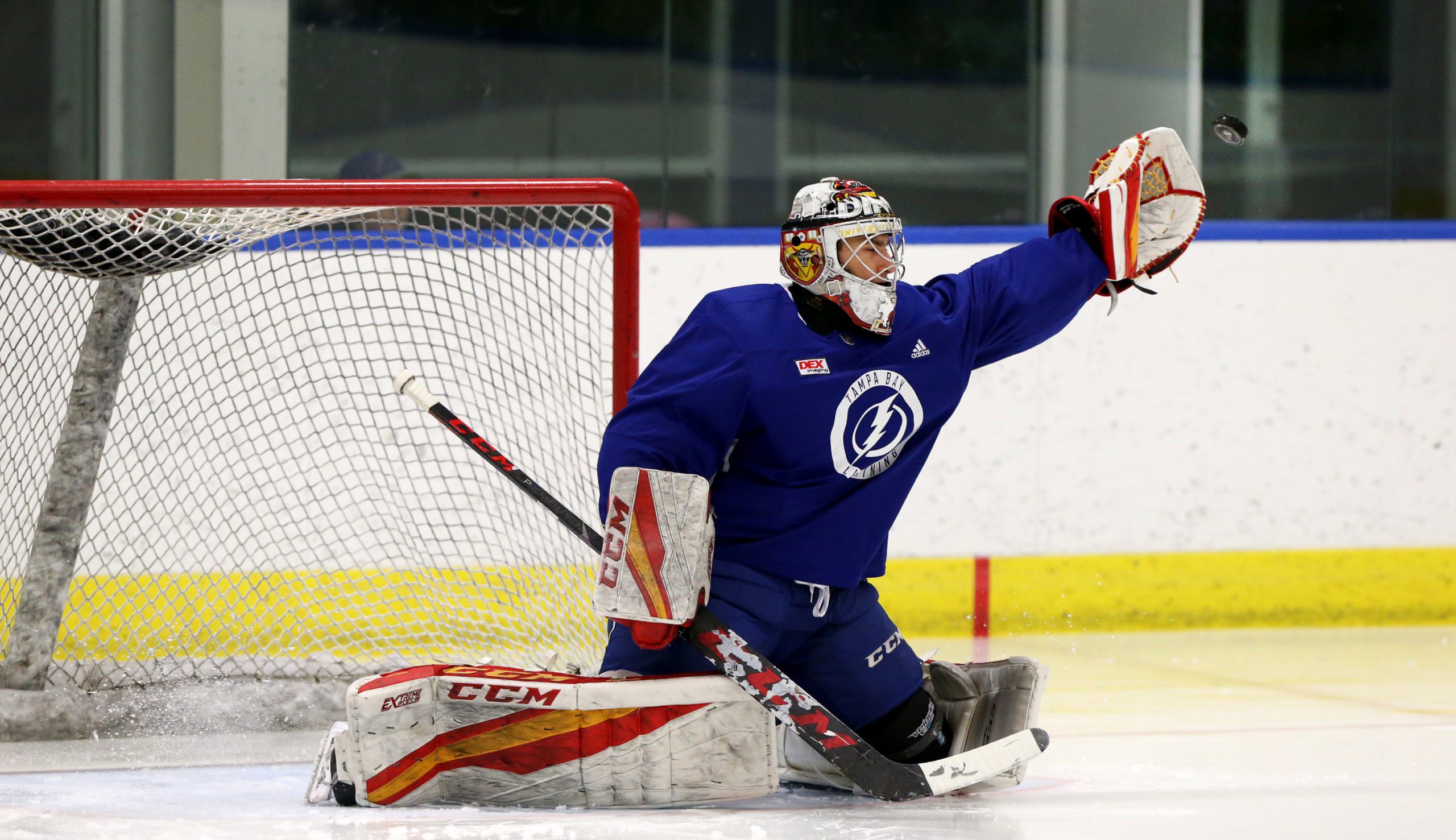 Sheffield Steelers Recruit Netminder Matt Greenfield