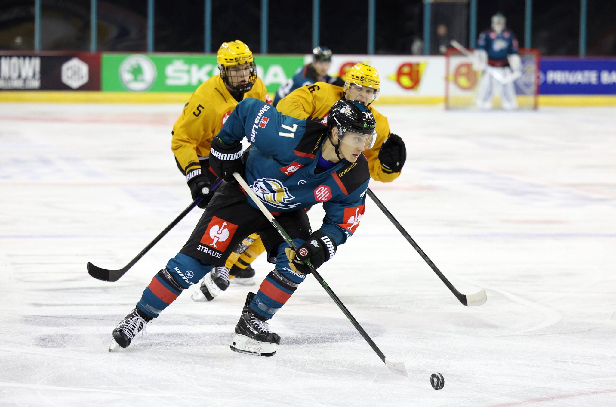 Tyler Soy of the Elite League's Belfast Giants in action in the Champions Hockey League (Image: Brian Kidd)