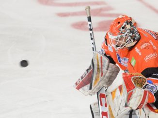 Elite League Media Awards: Matthew Greenfield, Sheffield Steelers (Image: Dean Woolley)