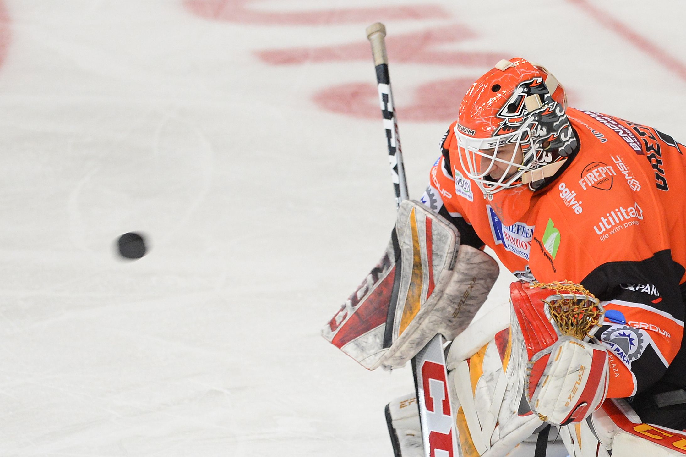 Matthew Greenfield Sheffield Steelers extend dominant netminder