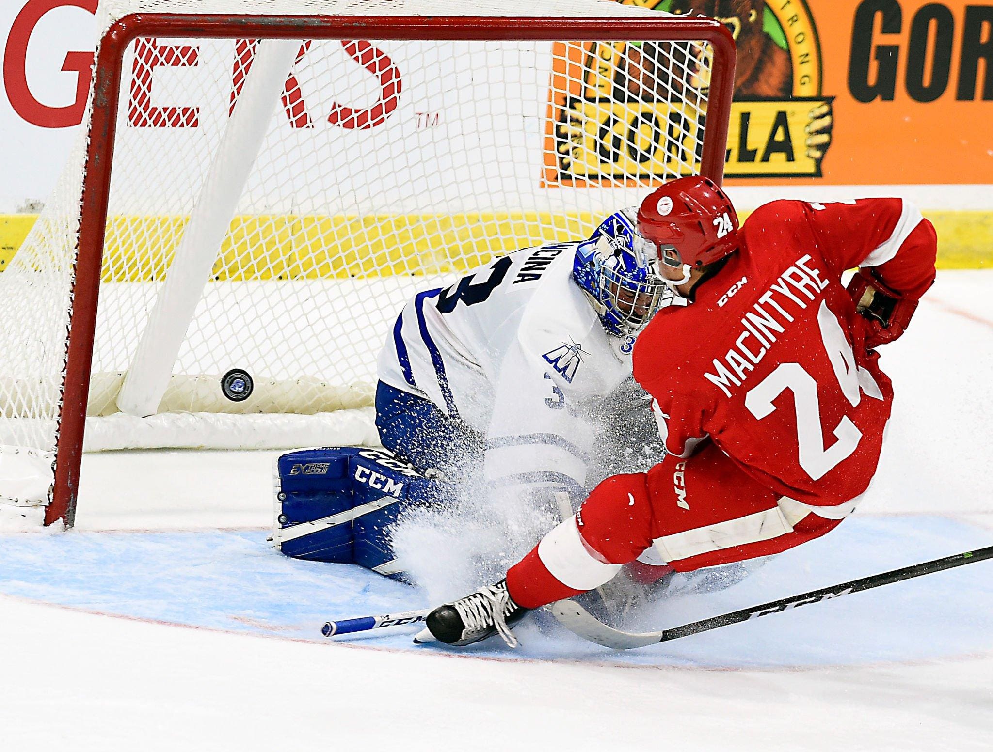 Bobby MacIntyre, now of the Belfast Giants (Image: Soo Greyhounds)
