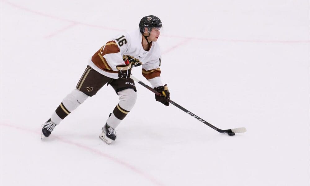 Coventry Blaze British Ice Hockey