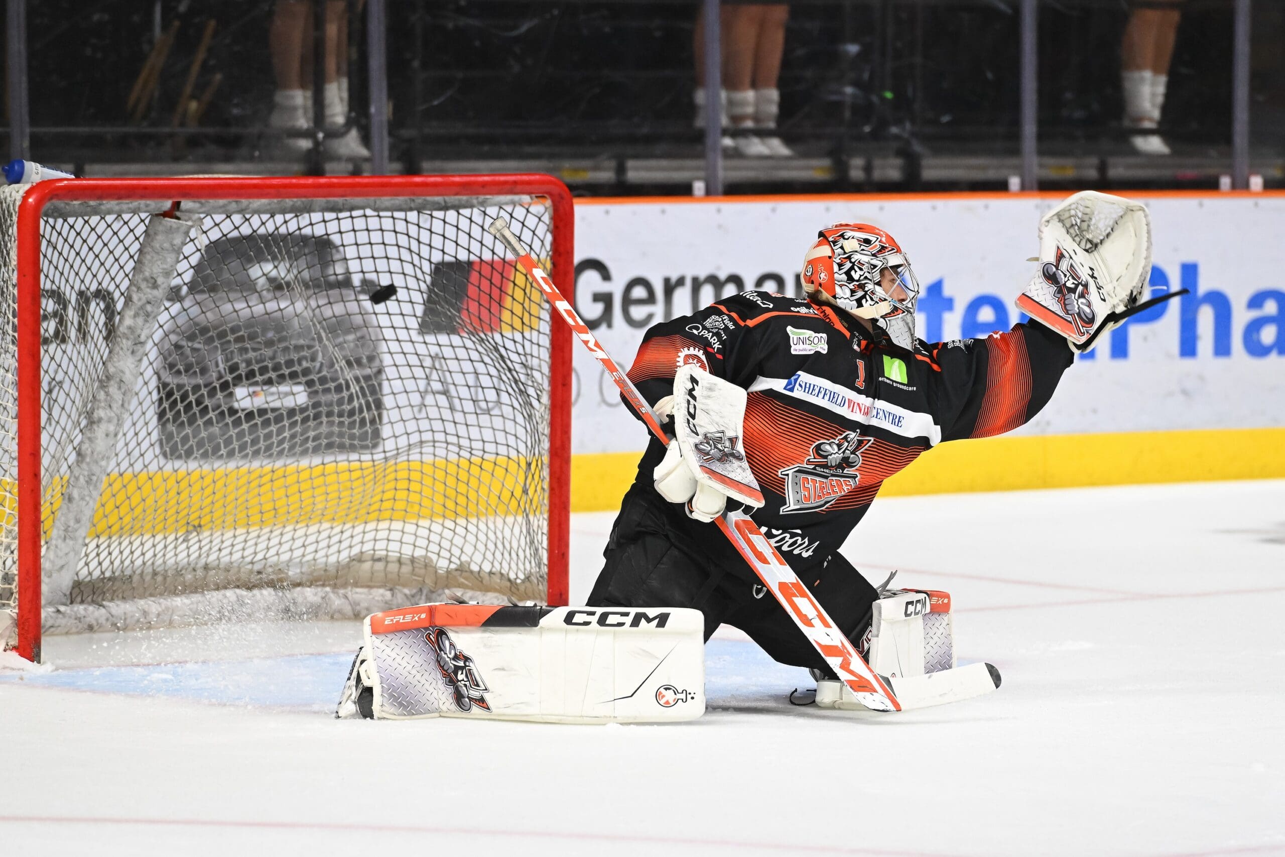 Matthew Greenfield, Sheffield Steelers (Image: Dean Woolley)