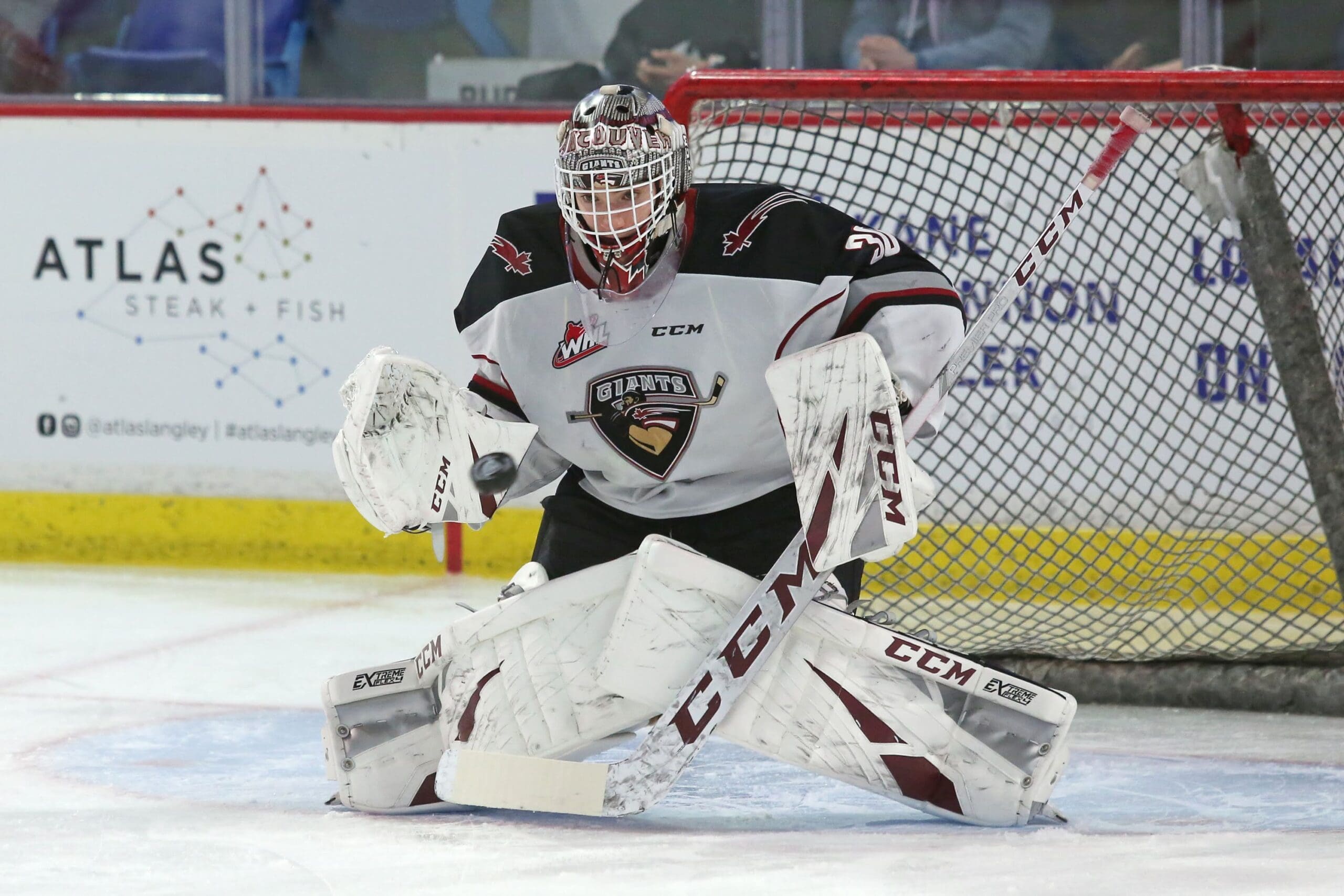 David Tendeck, now of the Manchester Storm (Image: Vancouver Giants)