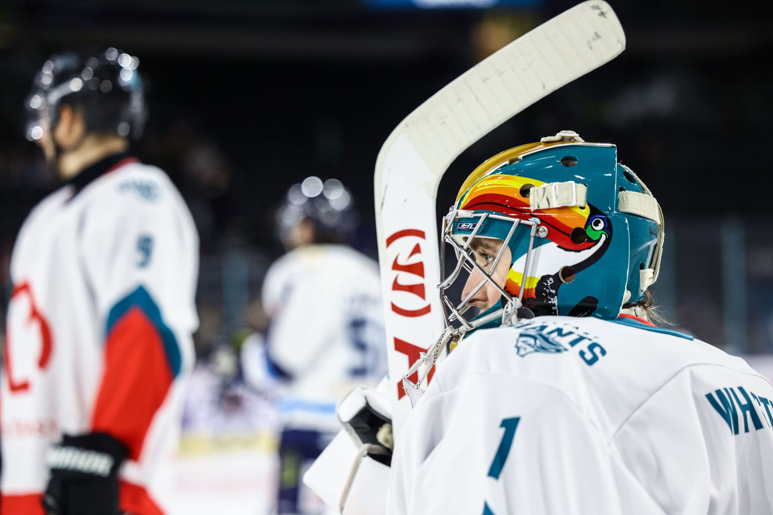 Jackson Whistle, Belfast Giants (Image: William Cherry)