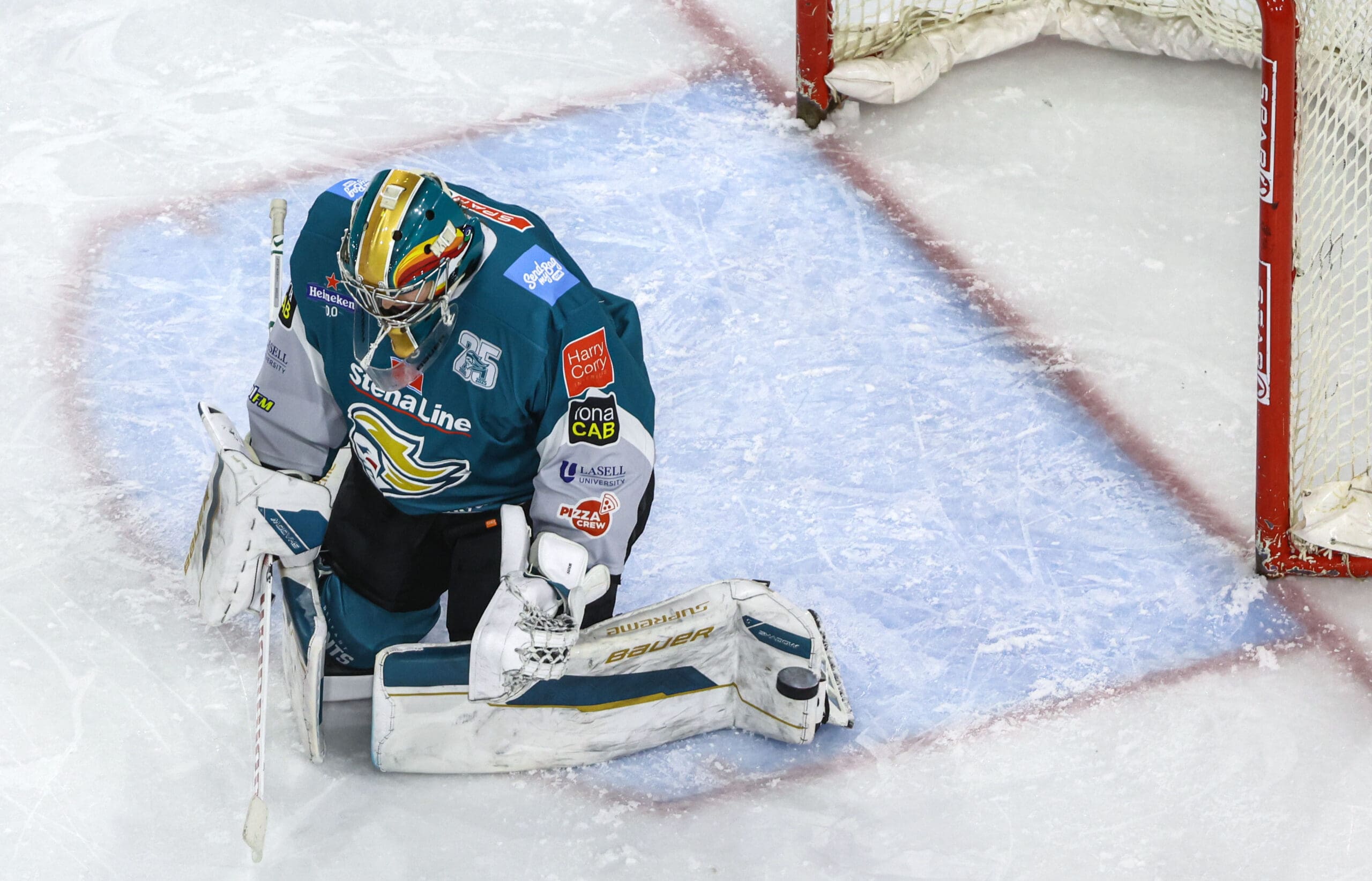 Jackson Whistle, Belfast Giants (Image: William Cherry)
