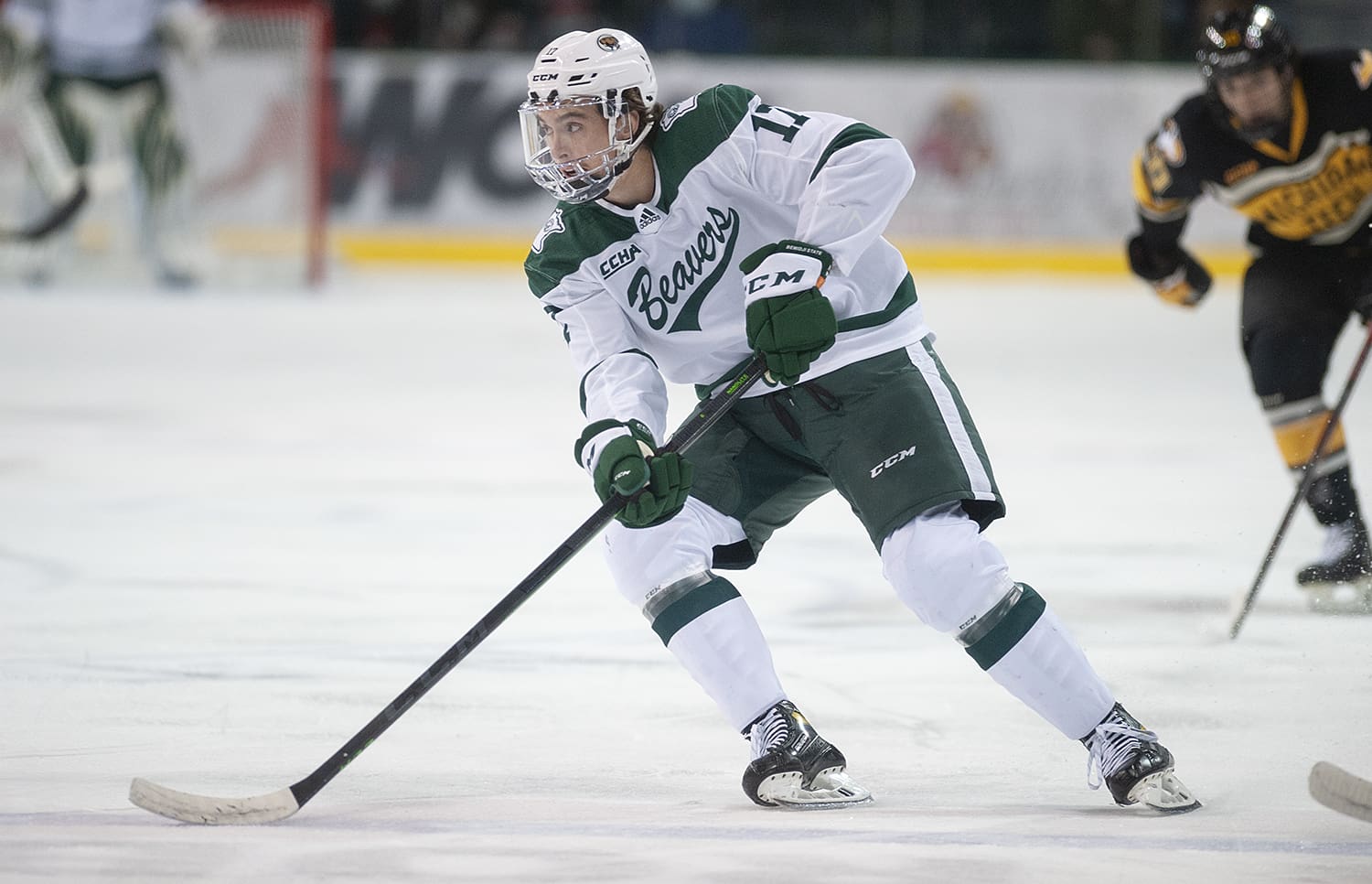 Ross Armour, Bemidji State University (Image: NCAA)