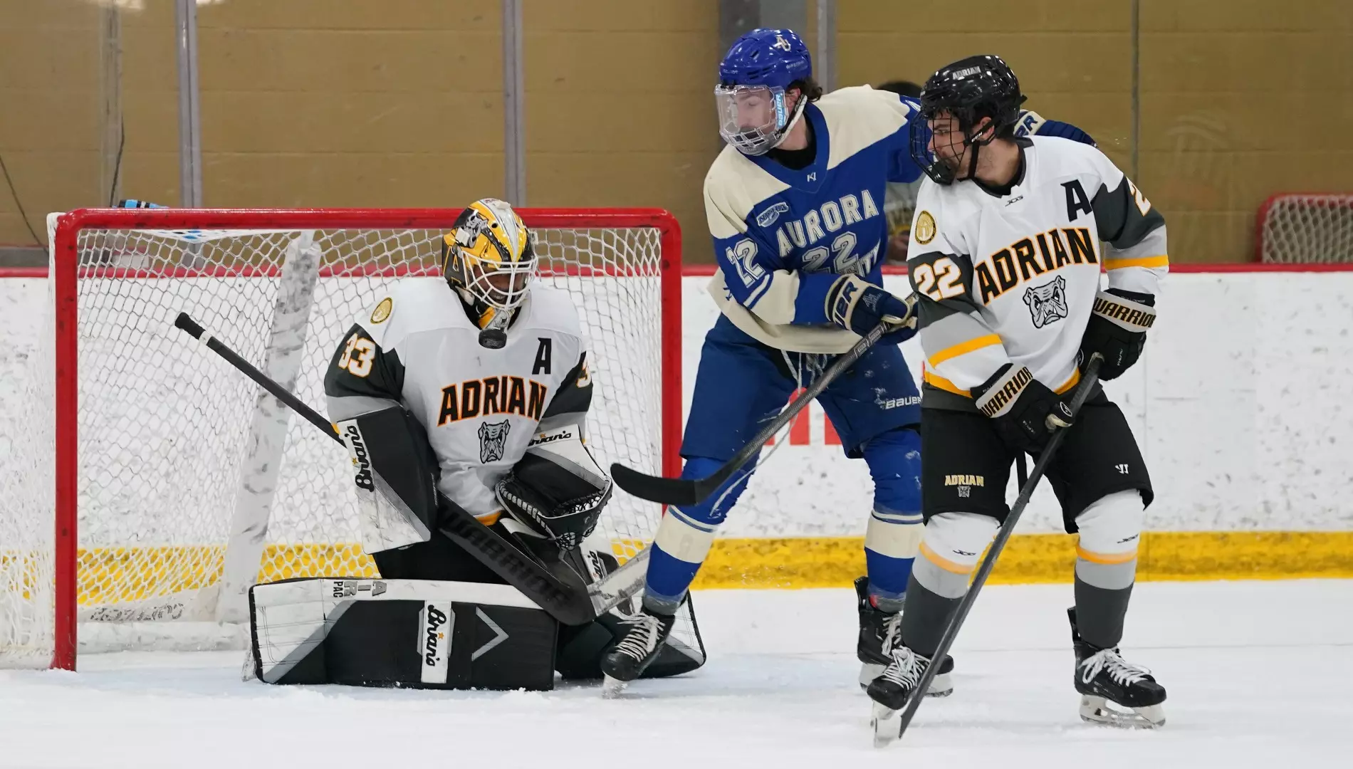 Dershahn Stewart, Coventry Blaze (Image: Adrian College)