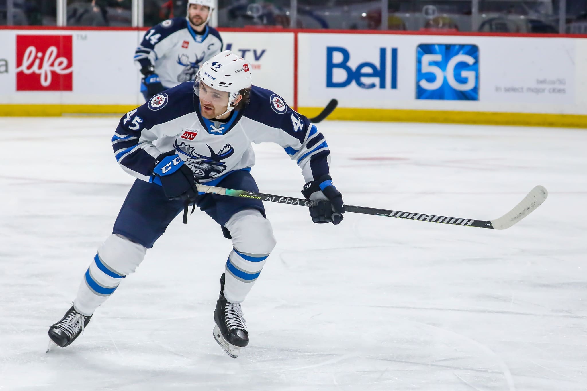 Tristin Langan, Glasgow Clan (Image: Manitoba Moose)