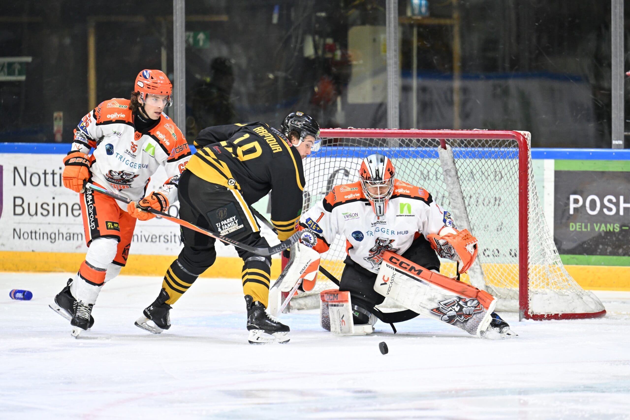 Ross Armour, Nottingham Panthers (Image: Panthers Images)