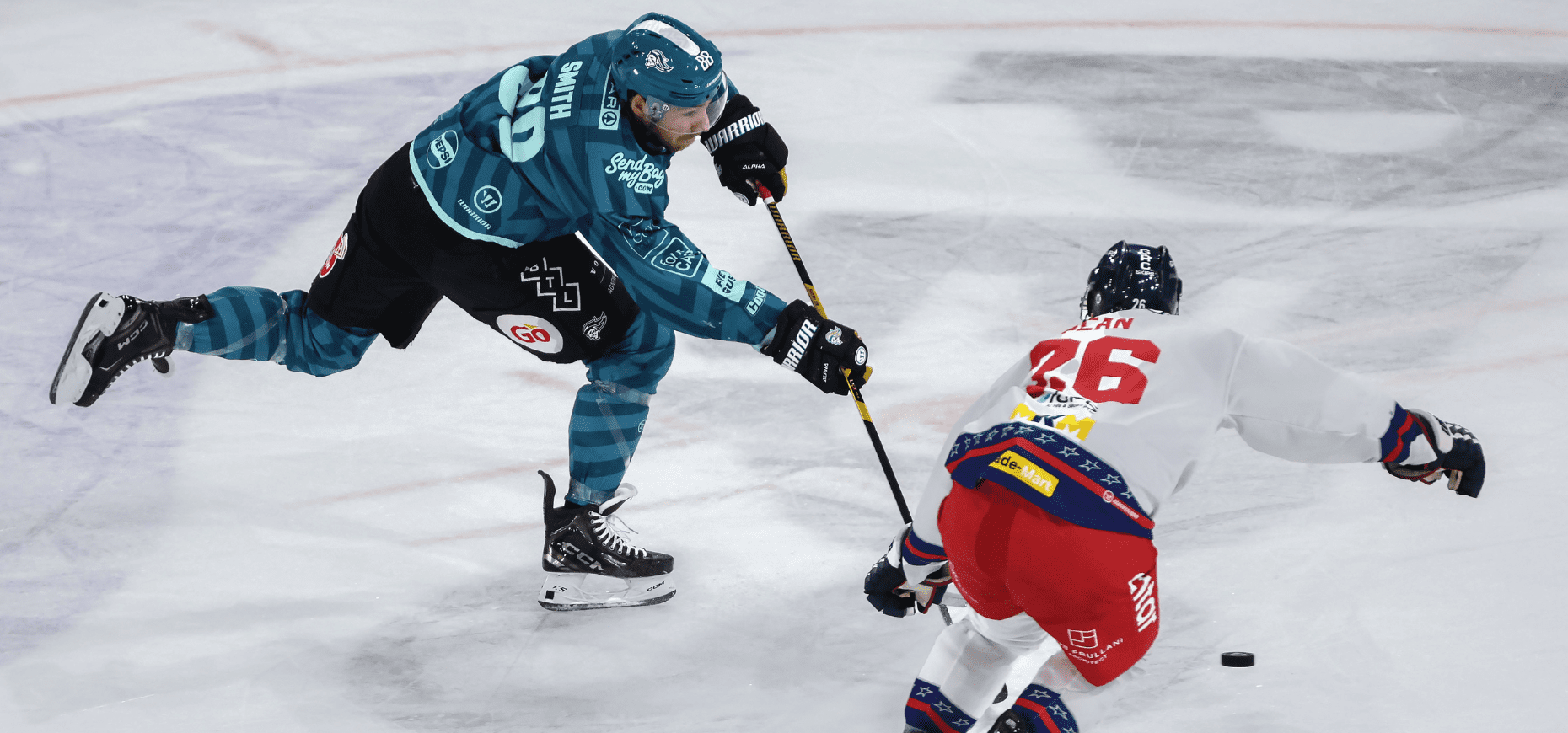 Ryan Smith, Belfast Giants (Image: William Cherry)
