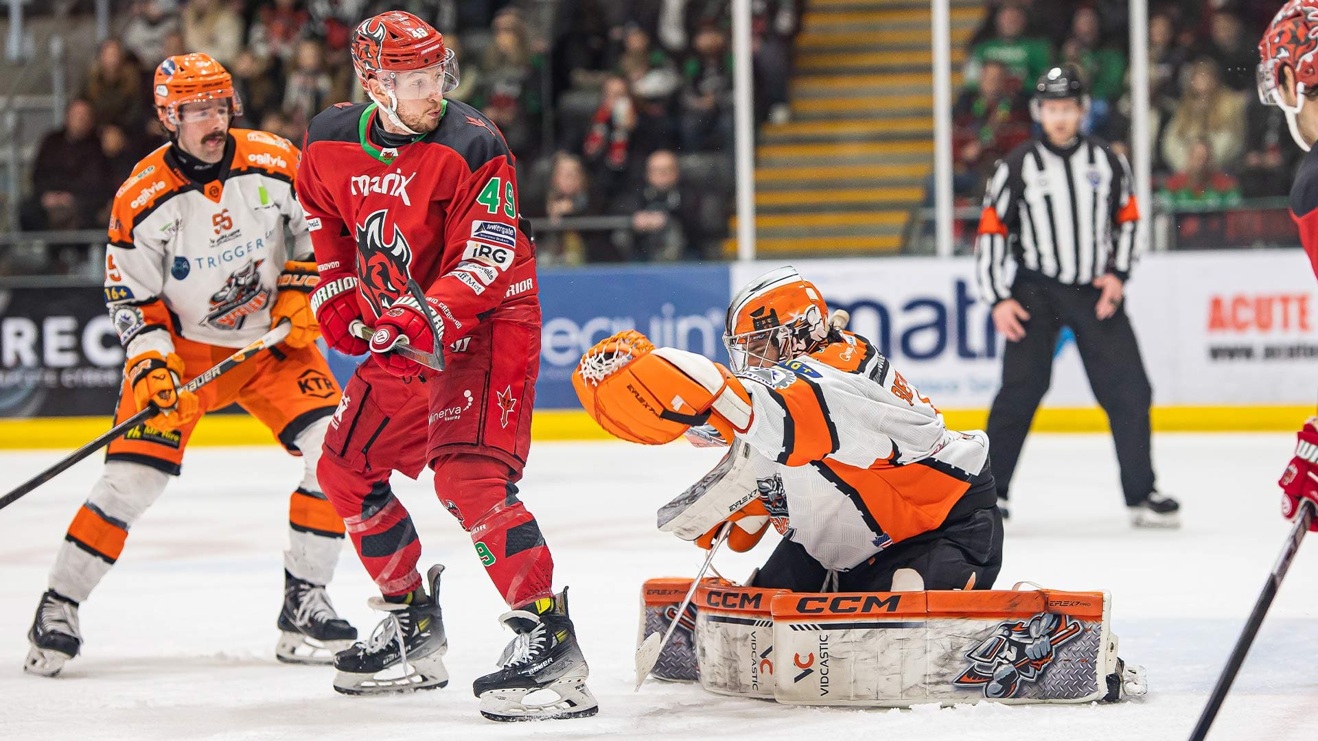 Matthew Greenfield, Sheffield Steelers (Image: James Assinder)
