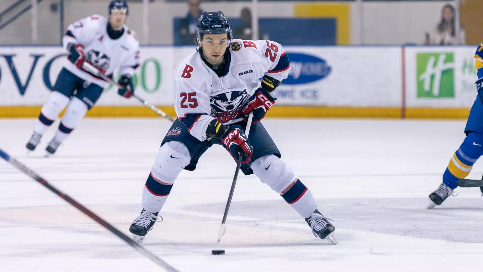 Zach Taylor, Dundee Stars (Image: Brock University Badgers)