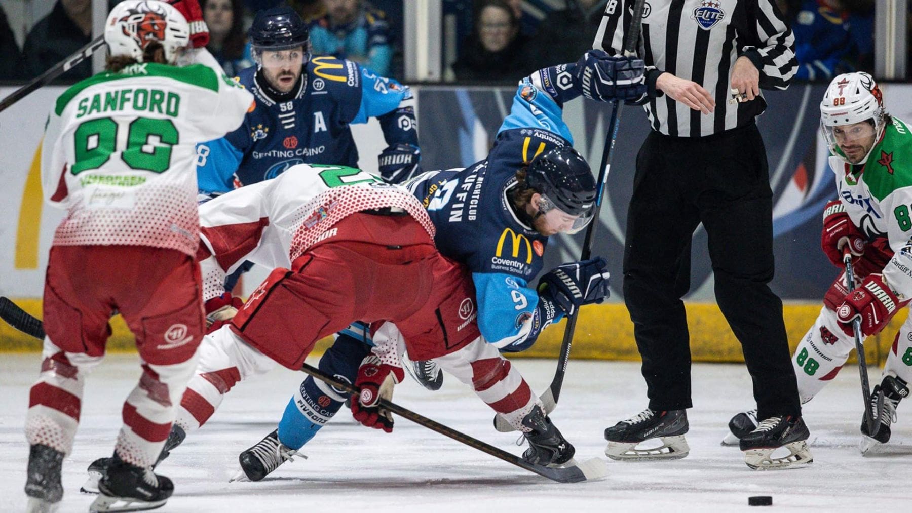 Cole Sanford, Cardiff Devils (Image: Scott Wiggins)