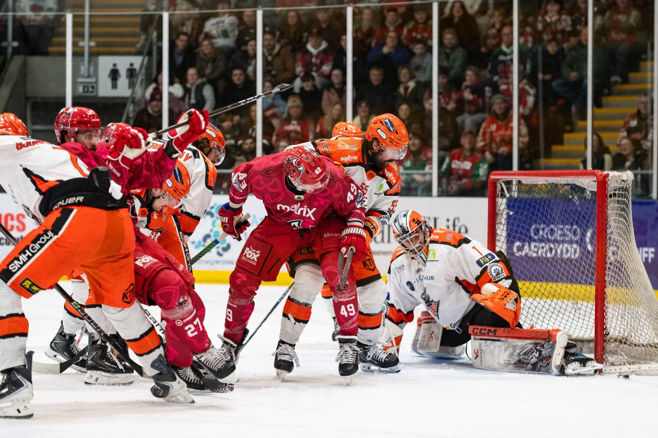 Matthew Greenfield, Sheffield Steelers (Image: James Assinder)