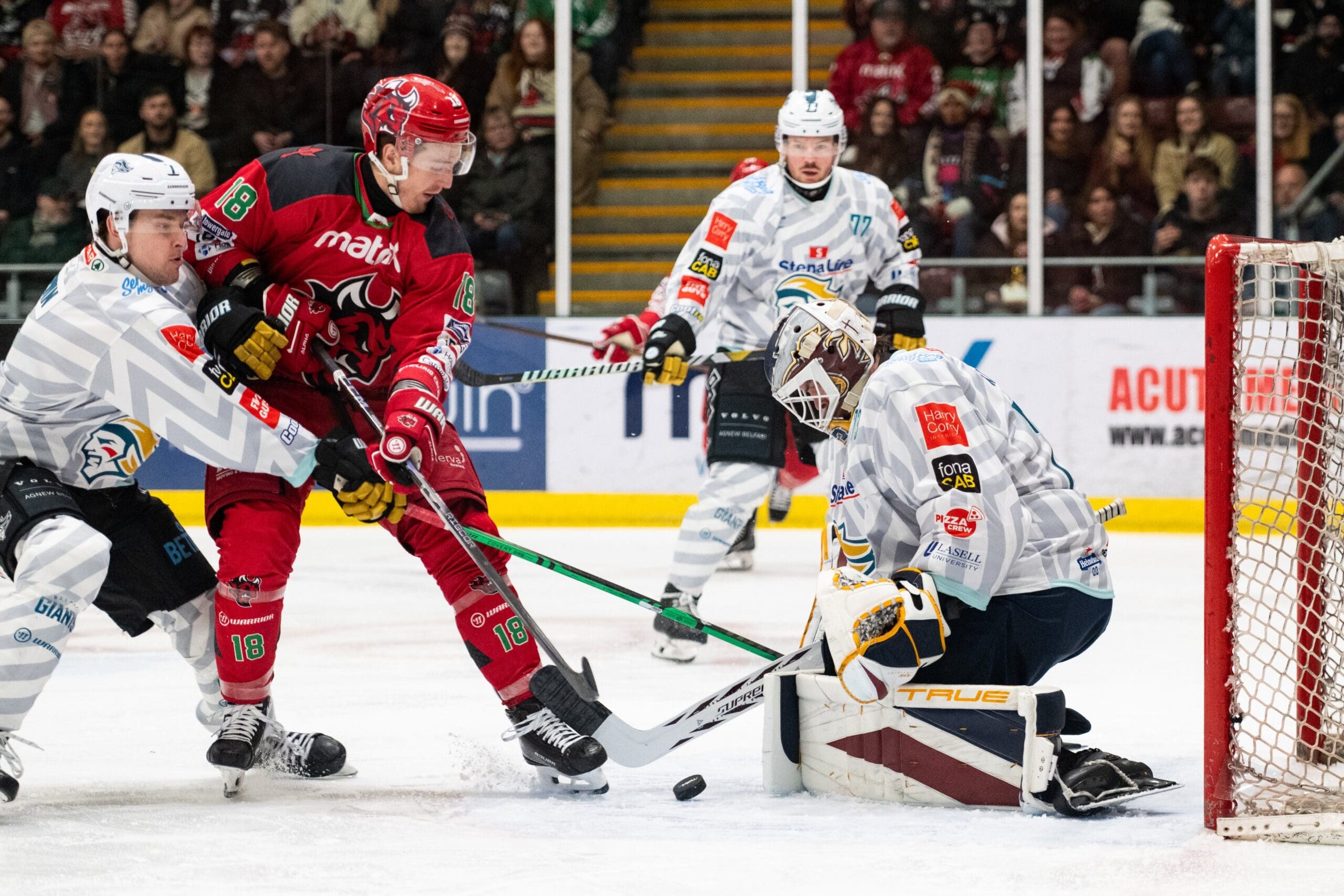 Jake Kupsky, Belfast Giants (Image: James Assinder)