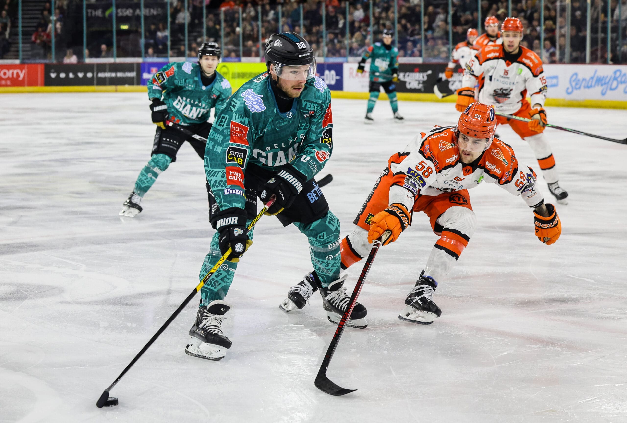 Ryan Smith, Belfast Giants (Image: William Cherry)