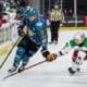 Bo Hanson, Belfast Giants (Image: William Cherry)