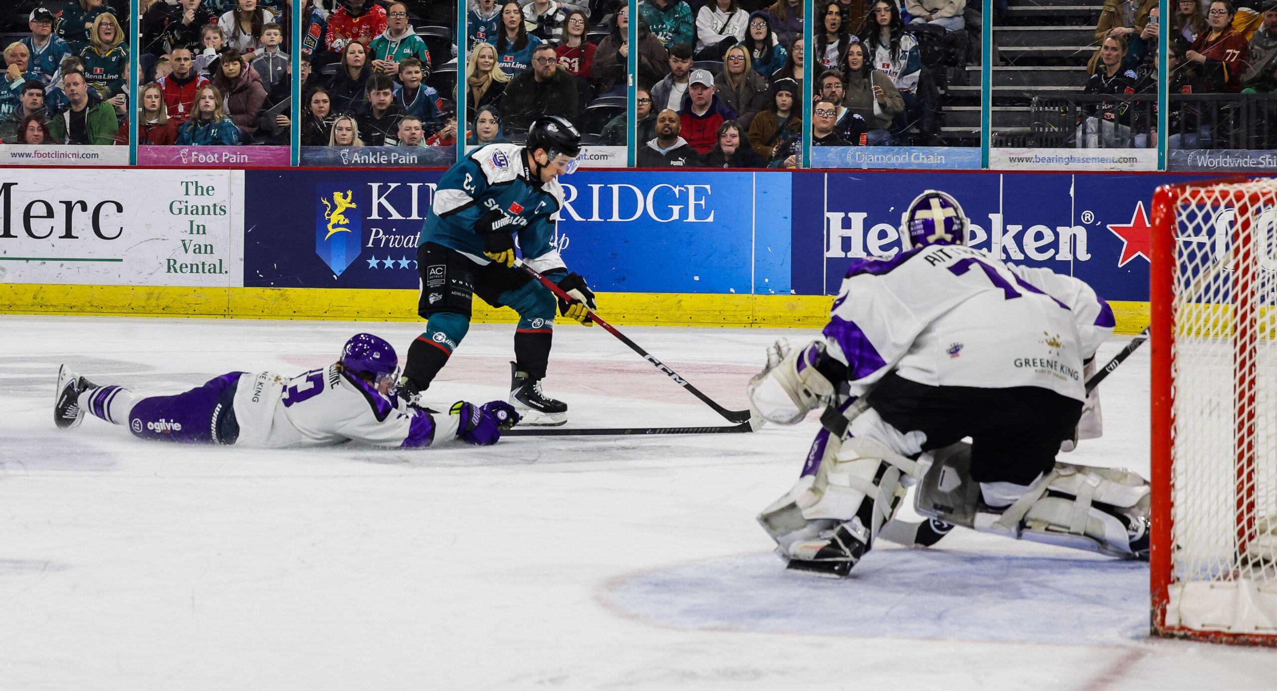 David Goodwin, Belfast Giants (Image: William Cherry)