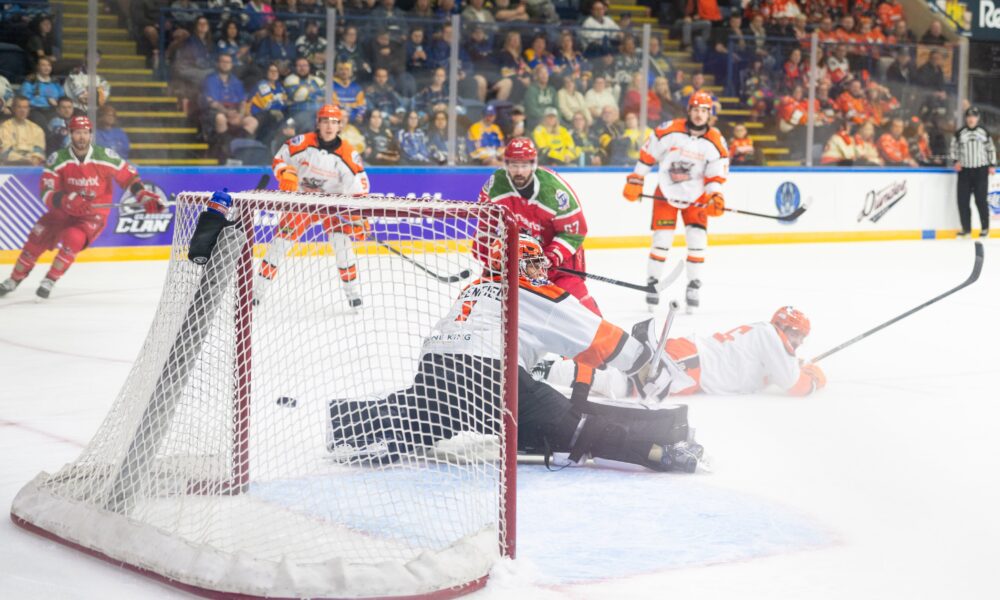 Matthew Greenfield, Sheffield Steelers (Image: Elite League)