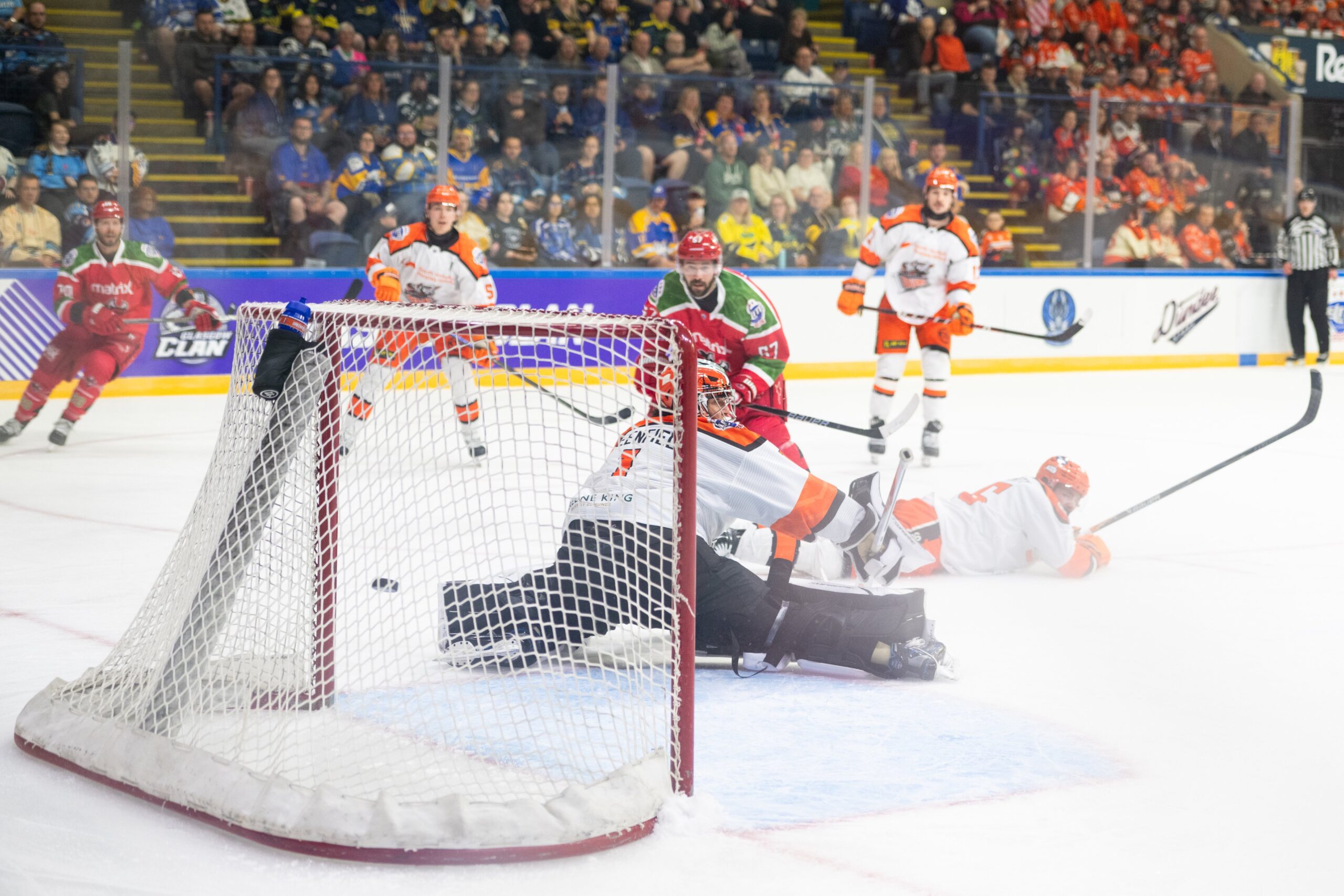 Matthew Greenfield, Sheffield Steelers (Image: Elite League)